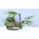 במבו וסלע 5789