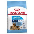 Royal Canin רויאל קנין 4 ק"ג מזון יבש לכלבות מגזע גדול וגוריהן, בהריון ובזמן הנקה (מקסי סטארטר)