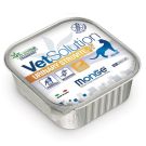 MONGE מונג' 100 גרם מזון רפואי מזון רטוב לחתול יורינרי סטרוויט