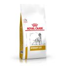 Royal Canin רויאל קנין 2 ק"ג מזון רפואי יבש לכלבים בוגרים למניעת דלקות ואבנים בדרכי השתן (יורינרי  אס/או)