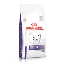 Royal Canin רויאל קנין 2 ק"ג מזון רפואי יבש לכלבים בוגרים מגזע קטן עם בעיות שיניים וחניכיים (דנטל ספיישל סמול)