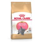 Royal Canin רויאל קנין 2 ק"ג מזון יבש לחתולים גורים מגזע בריטי