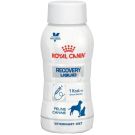 Royal canin רויאל קנין 3*200 מ"ל נוזל רפואי להתאוששות לכלבים ולחתולים מארז של 3 יחידות (רקברי)