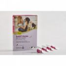 Solano סולאנו סולטיף אמפולות להדברה לכלבים S