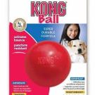 Kong Ball קונג בול כדור גומי לכלב S