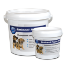 Eminent אמיננט 500 גרם תחליף חלב (אבקה) לגורי כלבים (פאפי מילק)