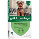 advantage אדוונטאג' אמפולות  להדברת פרעושים  לכלב קטן עד 4 ק"ג
