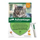 advantage אדוונטאג' אמפולות  להדברת פרעושים לחתול עד 4 ק"ג