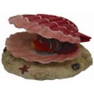 נמו וקונכיה