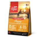 Orijen אוריג'ן 2 ק"ג מזון יבש לכלבים גורים בטעם עוף, הודו ודגים (פאפי)