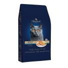 Elizacat אליזקט 3 ק"ג מזון יבש לחתולים בוגרים בטעם עוף