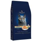 Elizacat אליזקט 15 ק"ג מזון יבש לחתולים בוגרים בטעם עוף