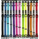 Pets Project פטס פרוג'קט קולר בייסיק S