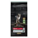 ProPlan פרופלאן 12 ק"ג מזון יבש לכלבים גורים בטעם כבש (סנסטיב דייג'סשן)