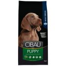 Cibau סיבאו 12 ק"ג מזון יבש לכלבים גורים מגזע גדול