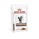 Royal Canin רויאל קנין 85 גרם מזון רפואי מזון רטוב (פאוץ') לחתולים בוגרים עם הפרעות ספיגת מעיים (גסטרו אינטסטינל)