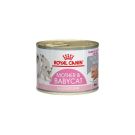 Royal canin רויאל קנין 195 גרם מזון מזון רטוב (שימורים) לחתולים גורים ולחתולות מניקות