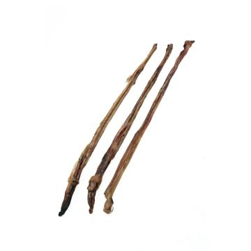 Hau&Miau האו מיאו חטיף בשר לכלב בולי סטיק 60-65 ס"מ 3X