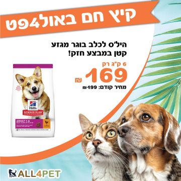 מבצעי אוגוסט - הילס סאינס פלן 6 ק"ג מזון יבש לכלבים בוגרים מגזע קטן (מיני) במחיר מצחיק!!!