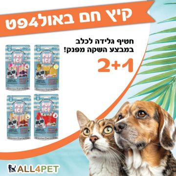 מבצעי אוגוסט - גלידות פופ אייס  ארטיק לכלב בהשקה מטורפת 2+1