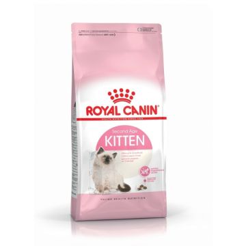 Royal Canin רויאל קנין 10 ק"ג מזון יבש לגורי חתולים (קיטן)