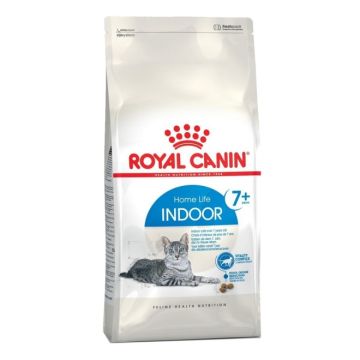 Royal Canin רויאל קנין 3.5 ק"ג מזון יבש לחתולים מבוגרים (אינדור)