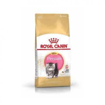 Royal Canin רויאל קנין 2 ק"ג מזון יבש לגורי חתולים מגזע פרסי (קיטן)