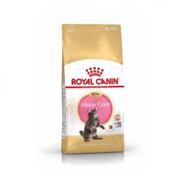 Royal Canin רויאל קנין 4 ק"ג מזון יבש לגורי חתולים מגזע מיין קון (קיטן)