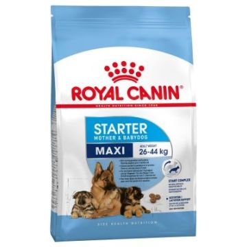 Royal Canin רויאל קנין 15 ק"ג מזון יבש לכלבות מגזע גדול וגוריהן&#44; בהריון ובזמן הנקה (מקסי סטארטר)