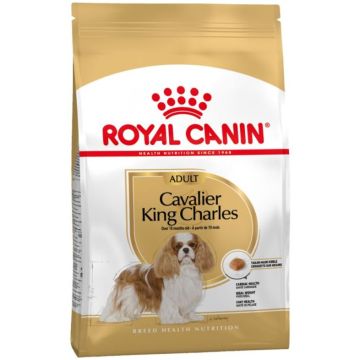 Royal Canin רויאל קנין 3 ק"ג מזון יבש לכלבים בוגרים מסוג קבליר קינג צ'ארלס ספניאל (אדולט)