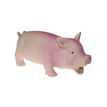 צעצוע משחק לכלב חזיר מצפצף