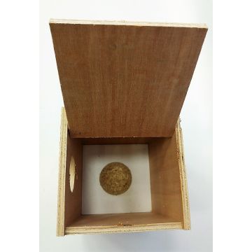 תא הטלה לתוכונים (קטן)