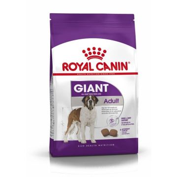 Royal Canin רויאל קנין 15 מזון יבש לכלבים בוגרים מגזע ענק (ג'אינט אדולט)