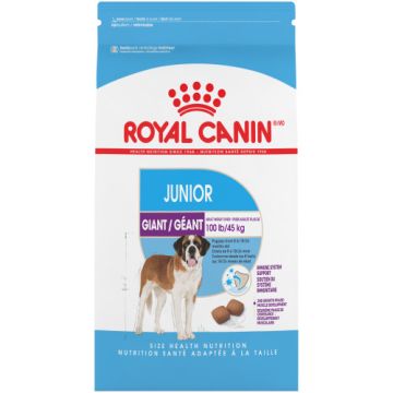 Royal Canin רויאל קנין 15 ק"ג מזון יבש לכלבים גורים מגזע ענק (ג'אינט ג'וניור)