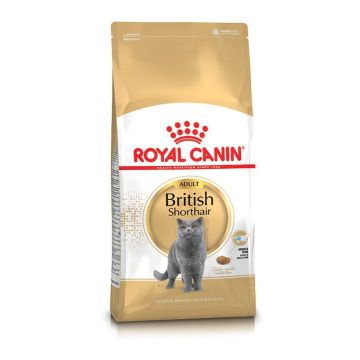 Royal Canin רויאל קנין 10 ק"ג מזון יבש לחתולים בוגרים מגזע בריטי קצר שיער