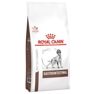 Royal Canin רויאל קנין 15 ק"ג מזון רפואי יבש לכלבים בוגרים עם בעיות מעיים ועיכול (גסטרו אינטסטינל)