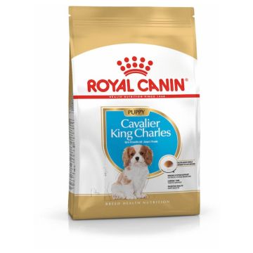 Royal Canin רויאל קנין 1.5 ק"ג מזון יבש לכלבים גורים מסוג קינג צ'ארלס