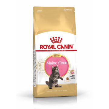Royal Canin רויאל קנין 10 ק"ג מזון יבש לגורי חתולים מגזע מיין קון