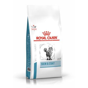 Royal Canin רויאל קנין 3.5 ק"ג מזון רפואי יבש לחתולים עם בעיות בעור (סקין&קואט)