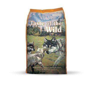 Taste of the Wild טייסט אוף דה ווילד 2 ק"ג מזון יבש ללא דגנים לכלבים גורים בטעם צבי וביזון (היי-פריירי פאפי)