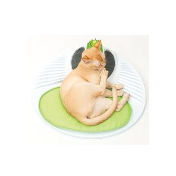 מרכז בריאות לחתול