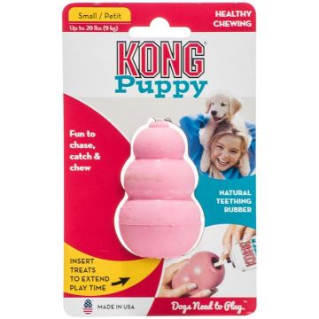 KONG Puppy קונג גורים S