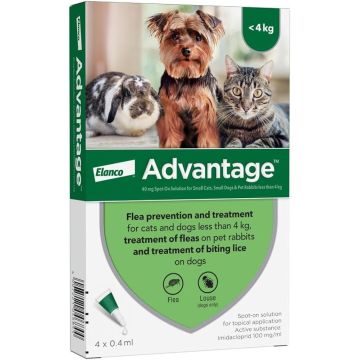 advantage אדוונטאג' אמפולות  להדברת פרעושים  לכלב קטן עד 4 ק"ג