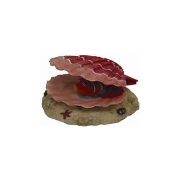 נמו וקונכיה