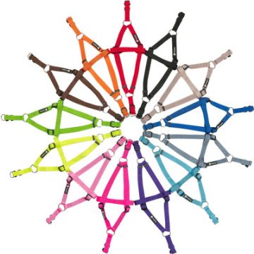 Pets Project פטס פרוג'קט רתמה לכלב S