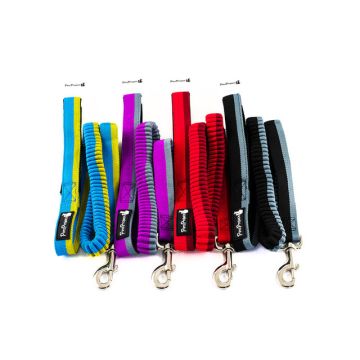 Pets Project פטס פרוג'קט רצועת ריצה לכלב