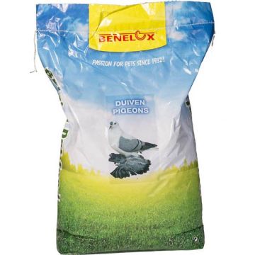 BENELUX בנלוקס 20 ק"ג מזון ליונים תוצרת חוץ