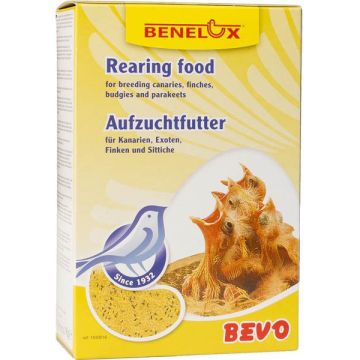 BENELUX בנלוקס 1 ק"ג בבו צהוב מזון ביצים