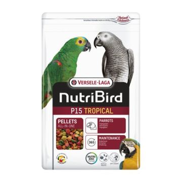 Nutribird  נוטרי בירד 1 ק"ג תערובת מאוזנת מלאה P15 לתוכי גדול (טרופיקל)