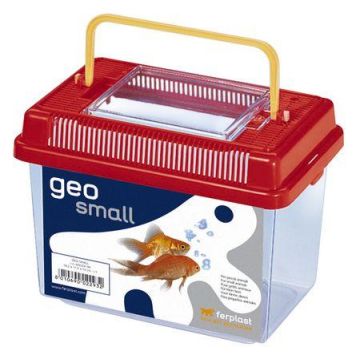 טרריום גאו קטן